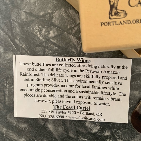 Beautiful Butterfly Wing Earrings W/ Sterling Wire - Picture 7 of 8